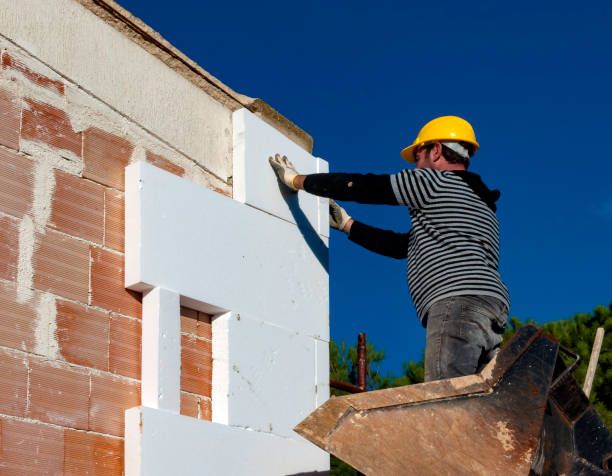 Best Cellulose Insulation in Terry, MS
