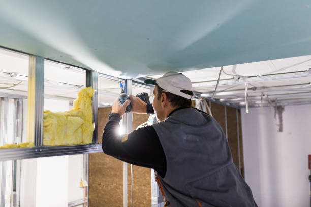 Best Commercial Insulation in Terry, MS