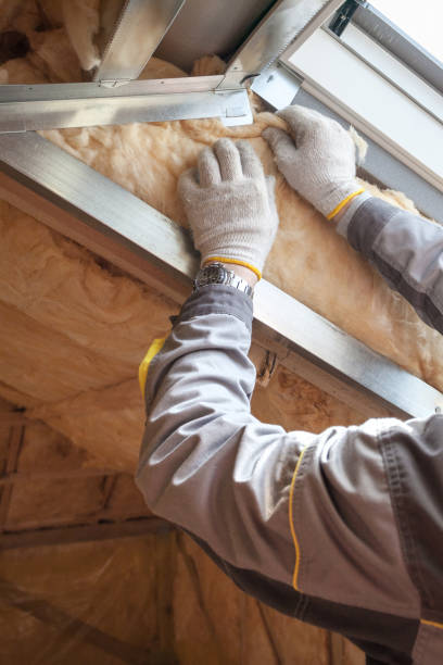 Best Spray Foam Insulation in Terry, MS