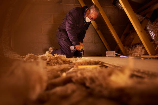 Best Spray Foam Insulation in Terry, MS